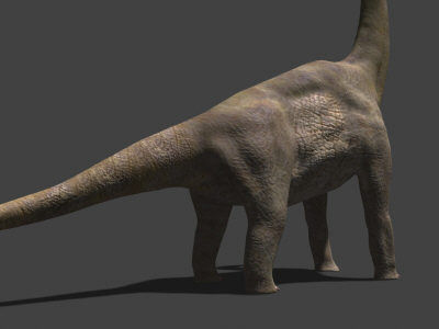 MY SPECIAL DINOSAUR PACK - rex 3d model 3D model_15