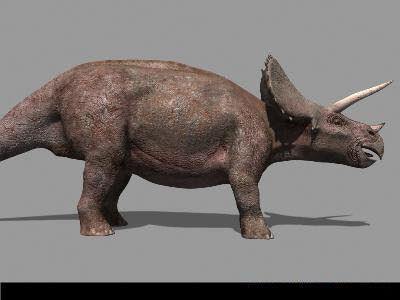 MY SPECIAL DINOSAUR PACK - rex 3d model 3D model_150