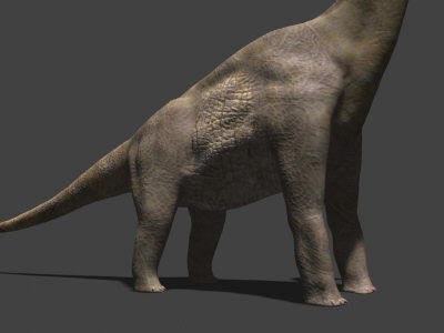 MY SPECIAL DINOSAUR PACK - rex 3d model 3D model_37