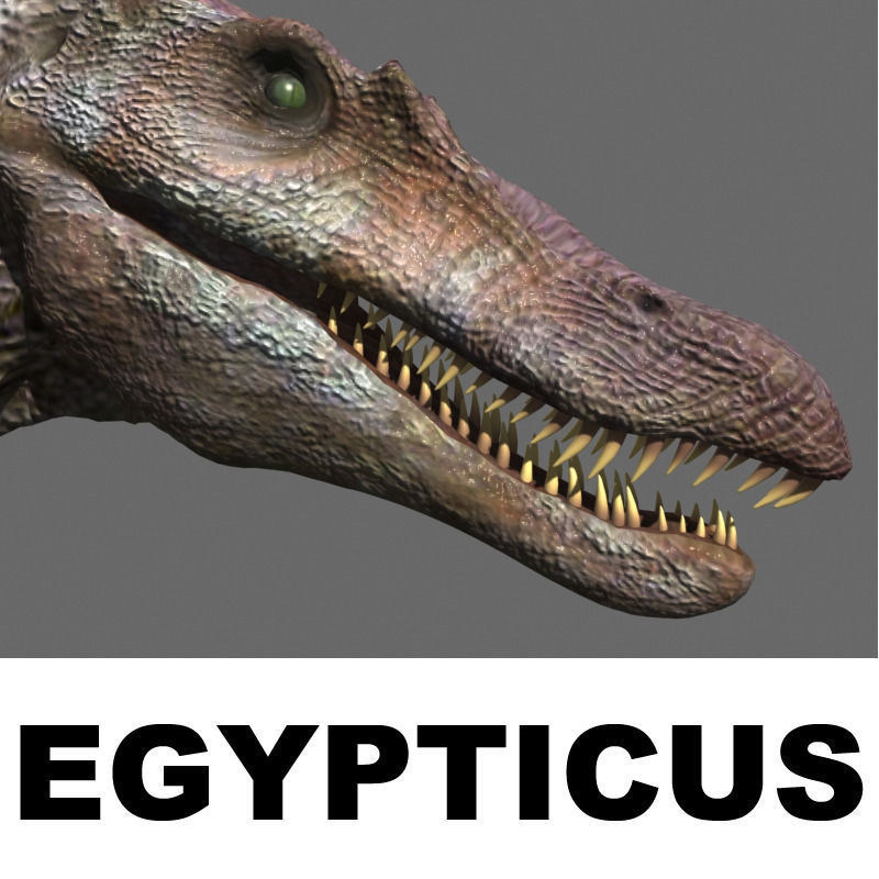 Incredible JP Dinosaur PACK - rex 3d model 3D model_99