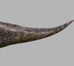 Incredible JP Dinosaur PACK - rex 3d model 3D model_54