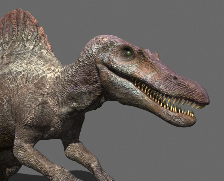 Incredible JP Dinosaur PACK - rex 3d model 3D model_117