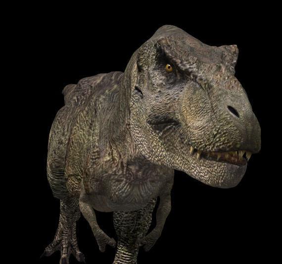 Incredible JP Dinosaur PACK - rex 3d model 3D model_66