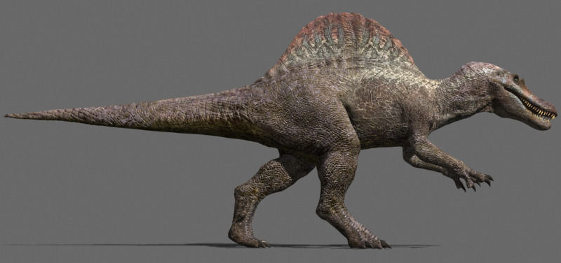 Incredible JP Dinosaur PACK - rex 3d model 3D model_110