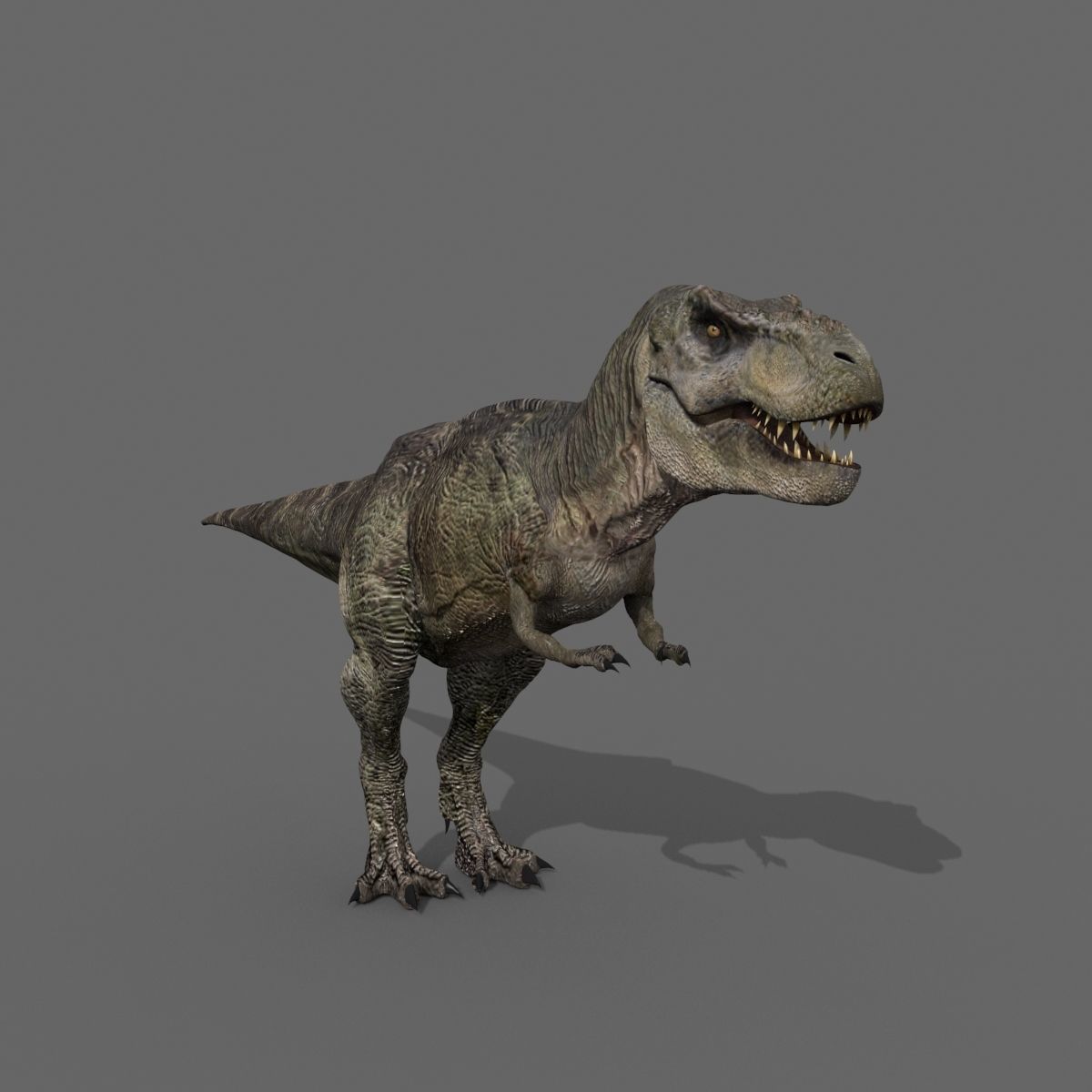 Incredible JP Dinosaur PACK - rex 3d model 3D model_118
