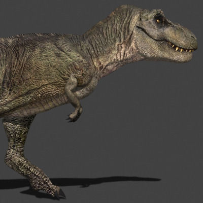 Incredible JP Dinosaur PACK - rex 3d model 3D model_88
