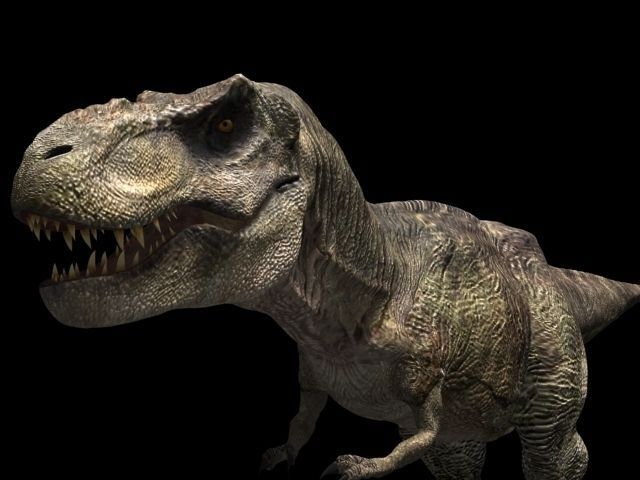 Incredible JP Dinosaur PACK - rex 3d model 3D model_98