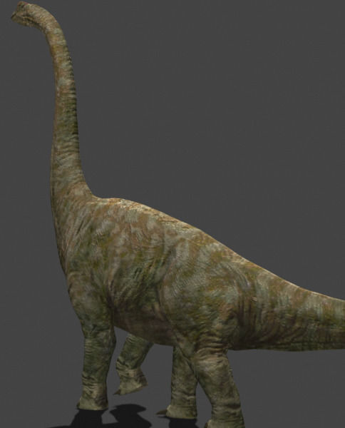 Incredible JP Dinosaur PACK - rex 3d model 3D model_15