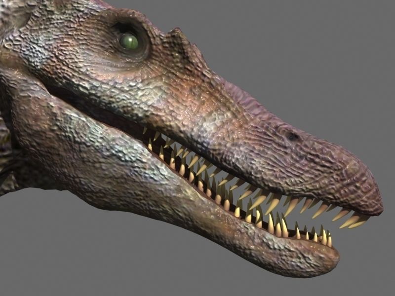 Incredible JP Dinosaur PACK - rex 3d model 3D model_116