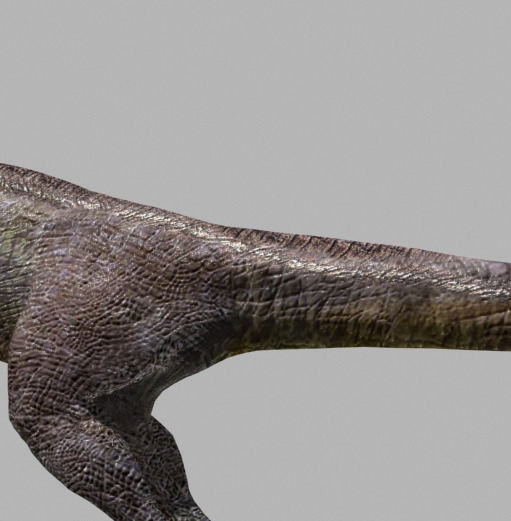 Incredible JP Dinosaur PACK - rex 3d model 3D model_52