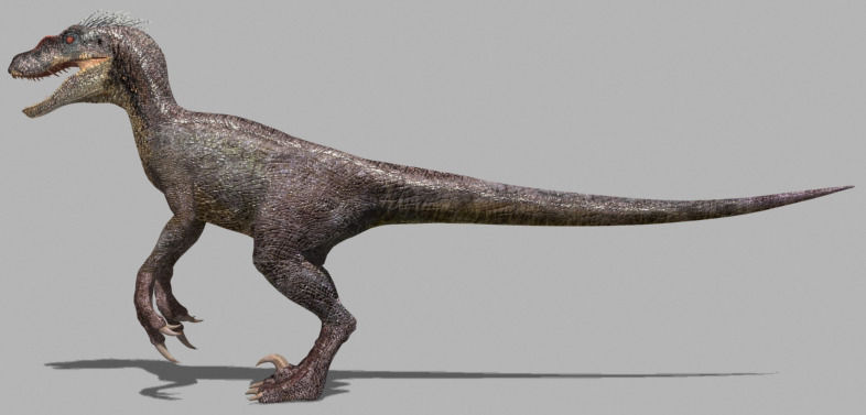 Incredible JP Dinosaur PACK - rex 3d model 3D model_32