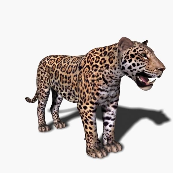 Unique Feline Pack - 3d lion model 3D model_129