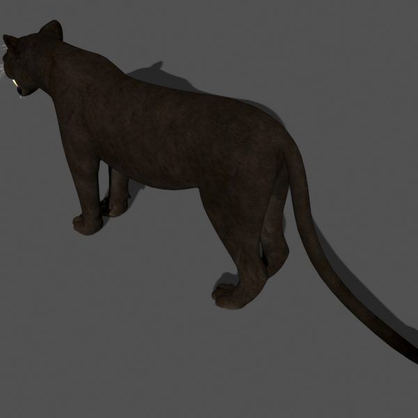 Unique Feline Pack - 3d lion model 3D model_93