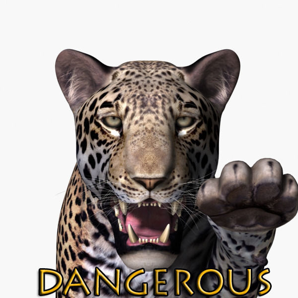 Unique Feline Pack - 3d lion model 3D model_150