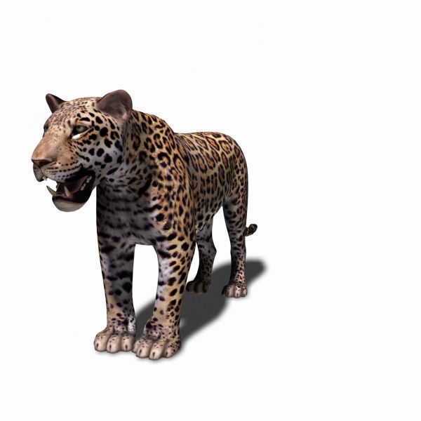 Unique Feline Pack - 3d lion model 3D model_127
