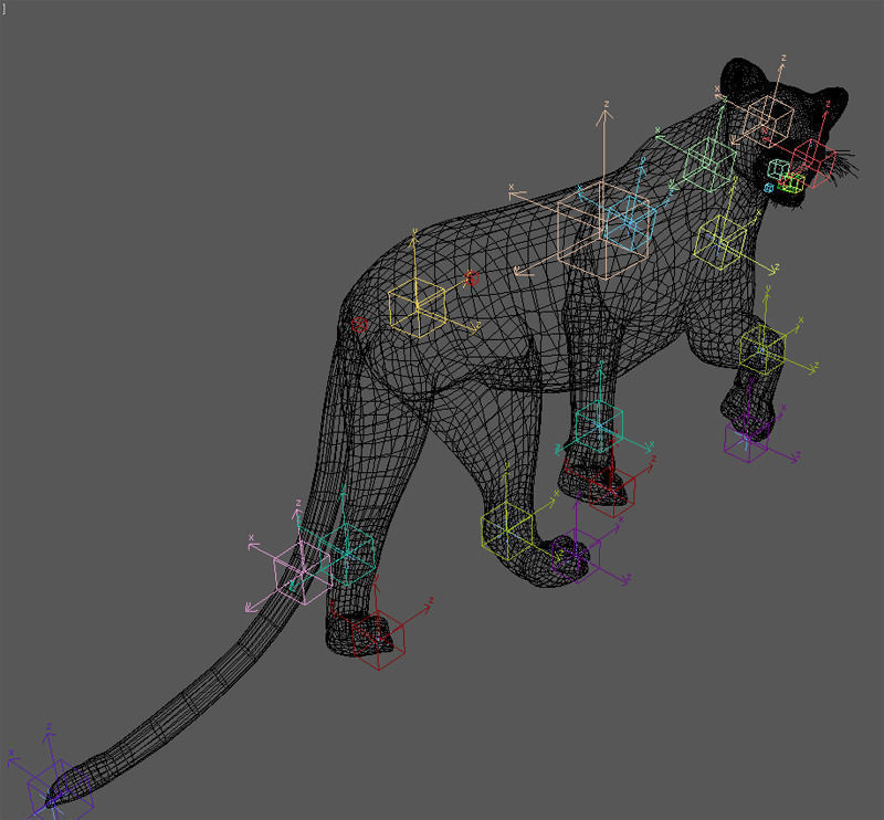 Unique Feline Pack - 3d lion model 3D model_106