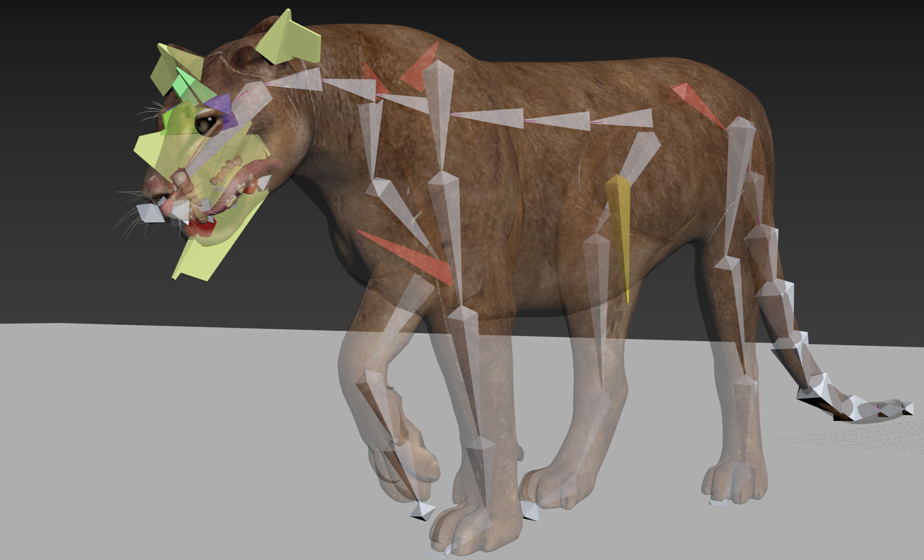 Unique Feline Pack - 3d lion model 3D model_24