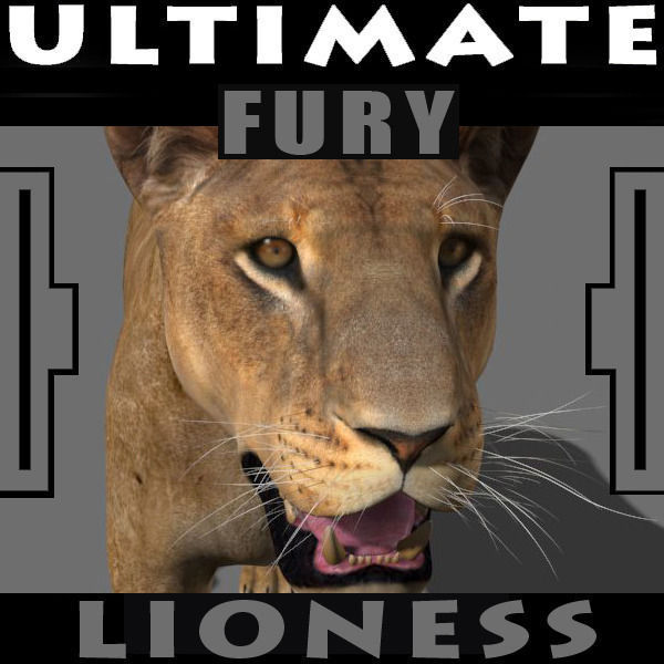 Unique Feline Pack - 3d lion model 3D model_65