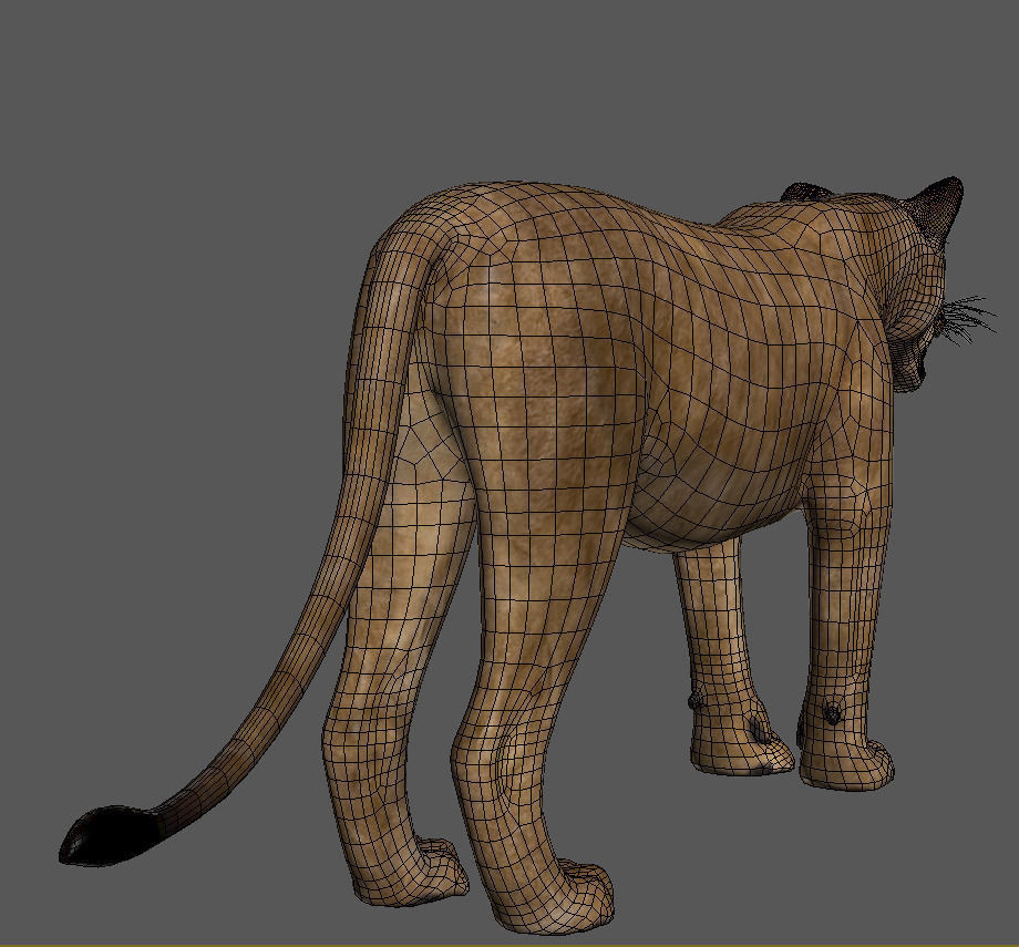 Unique Feline Pack - 3d lion model 3D model_82