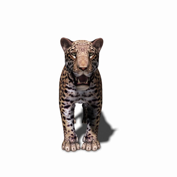 Unique Feline Pack - 3d lion model 3D model_128