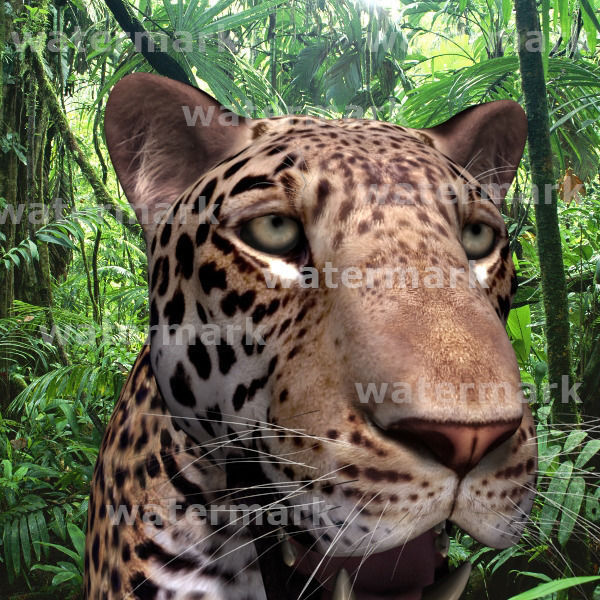 Unique Feline Pack - 3d lion model 3D model_130