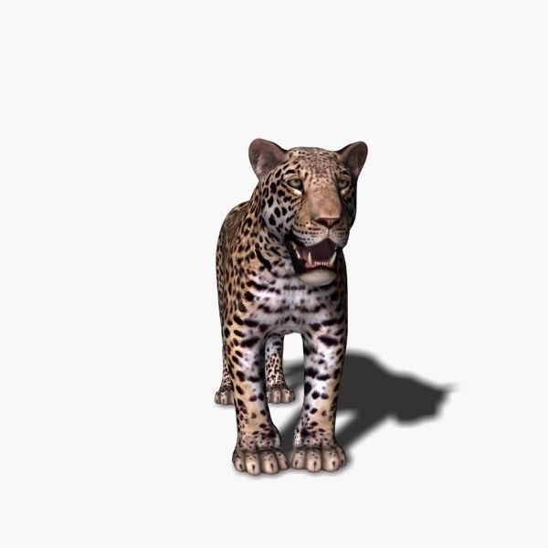 Unique Feline Pack - 3d lion model 3D model_125