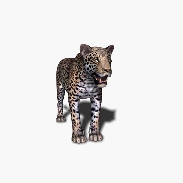Unique Feline Pack - 3d lion model 3D model_153