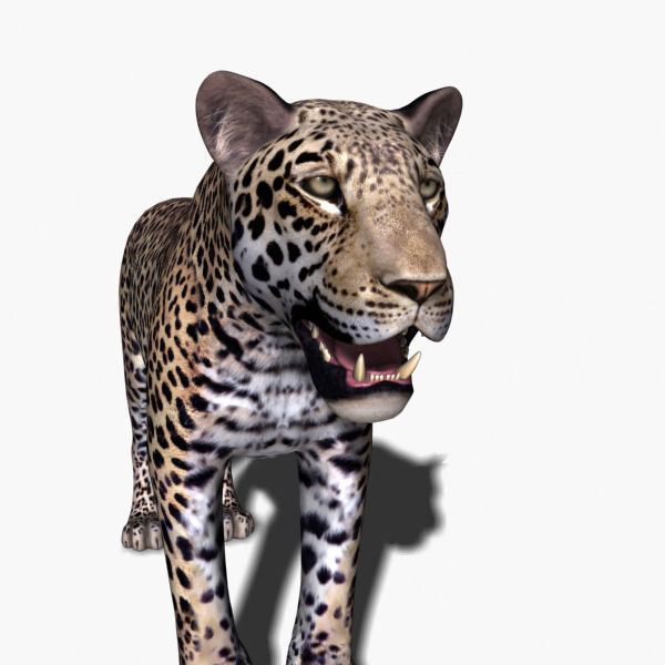 Unique Feline Pack - 3d lion model 3D model_142