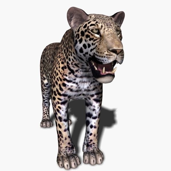 Unique Feline Pack - 3d lion model 3D model_144