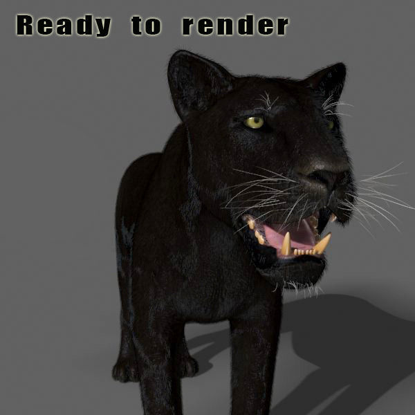 Unique Feline Pack - 3d lion model 3D model_102