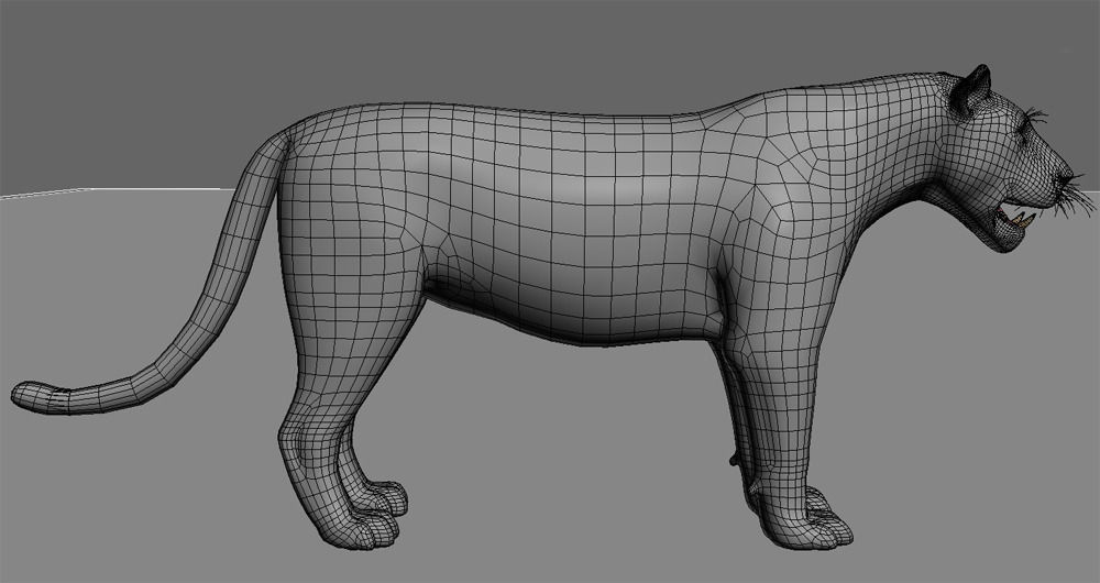 Unique Feline Pack - 3d lion model 3D model_131