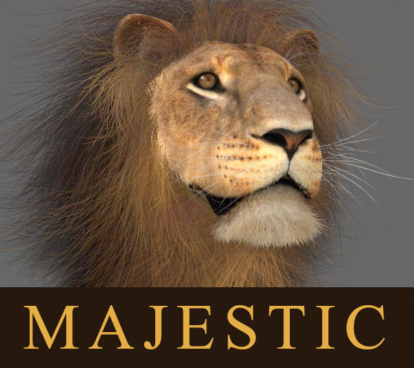 Unique Feline Pack - 3d lion model 3D model_43