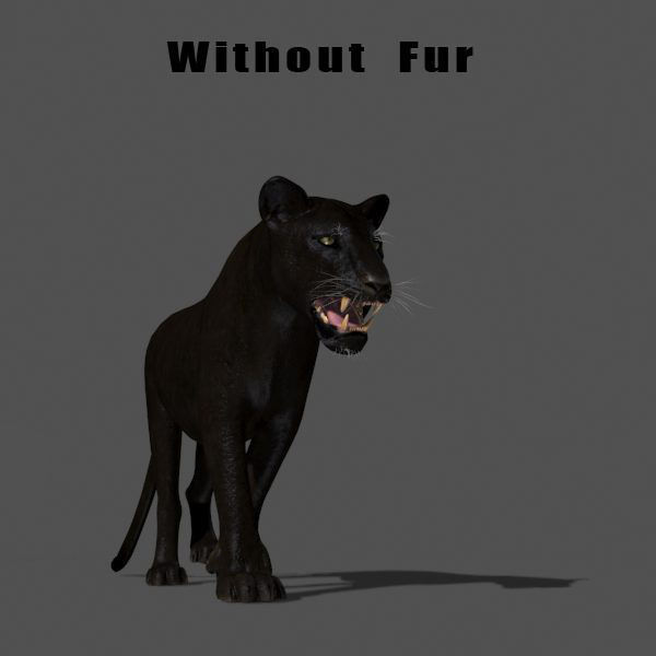 Unique Feline Pack - 3d lion model 3D model_109