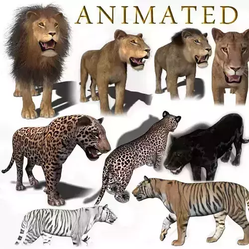 Unique Feline Pack - 3d lion model 3D model