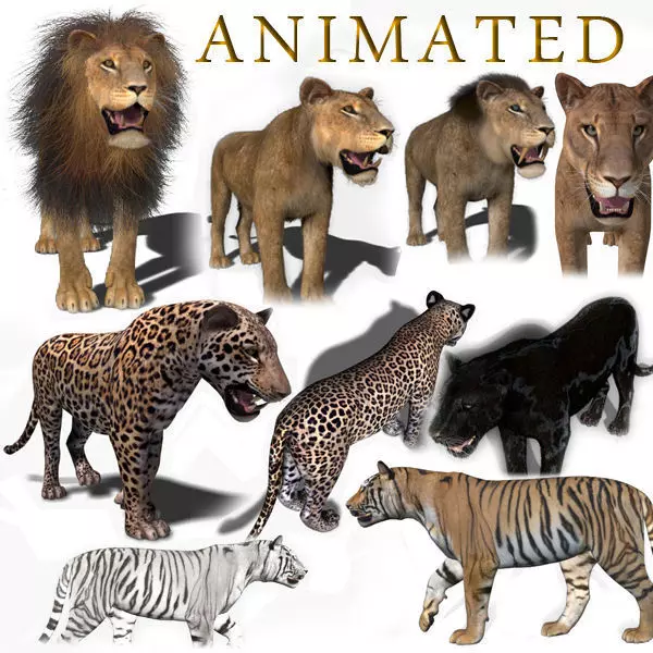 Unique Feline Pack - 3d lion model 3D model_0