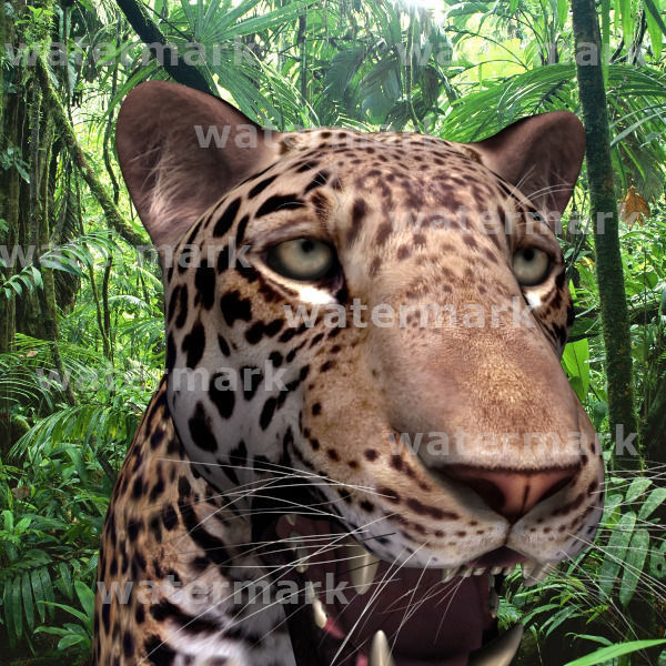 Unique Feline Pack - 3d lion model 3D model_133