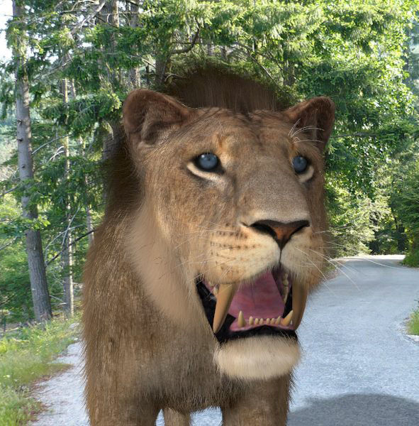 Unique Feline Pack - 3d lion model 3D model_117