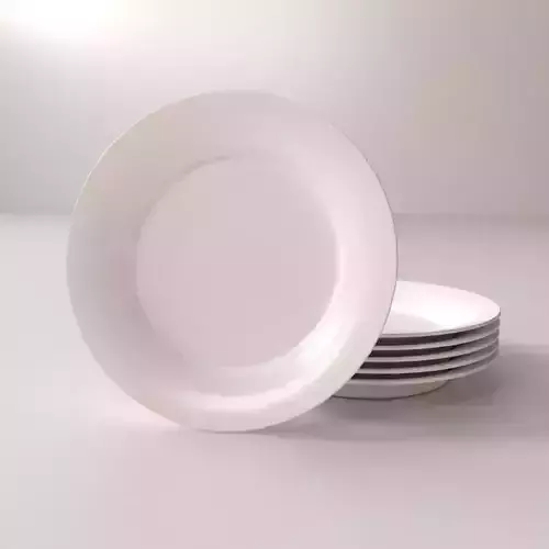 Plate V1 3D model