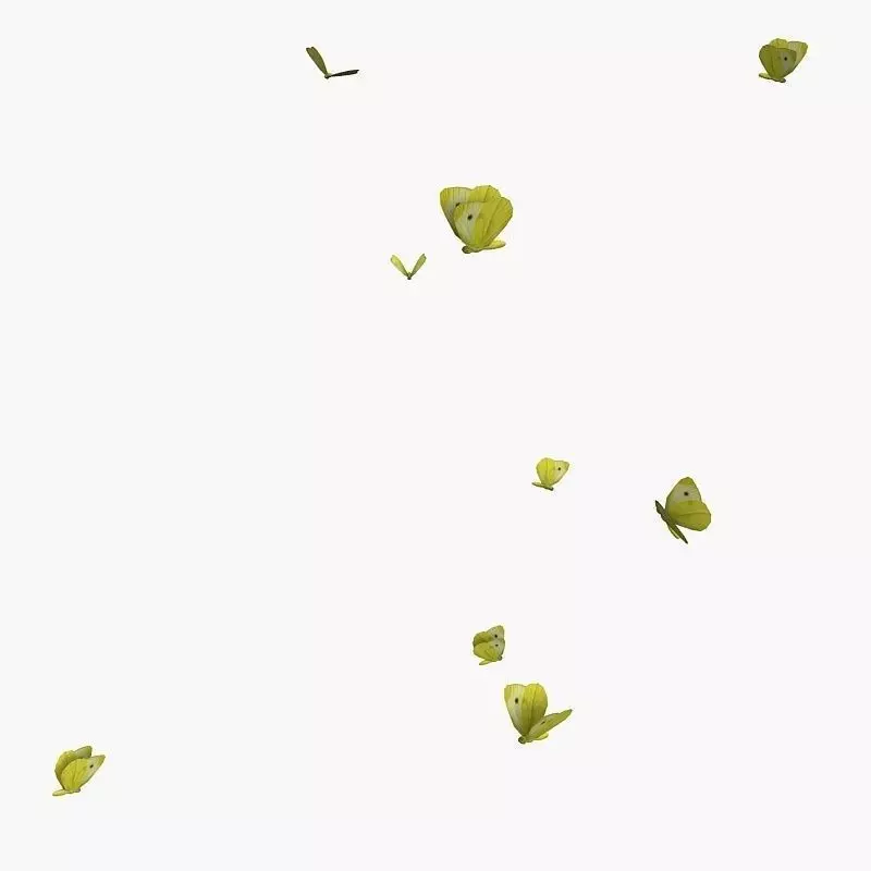 Flock of Butterflies 3D model