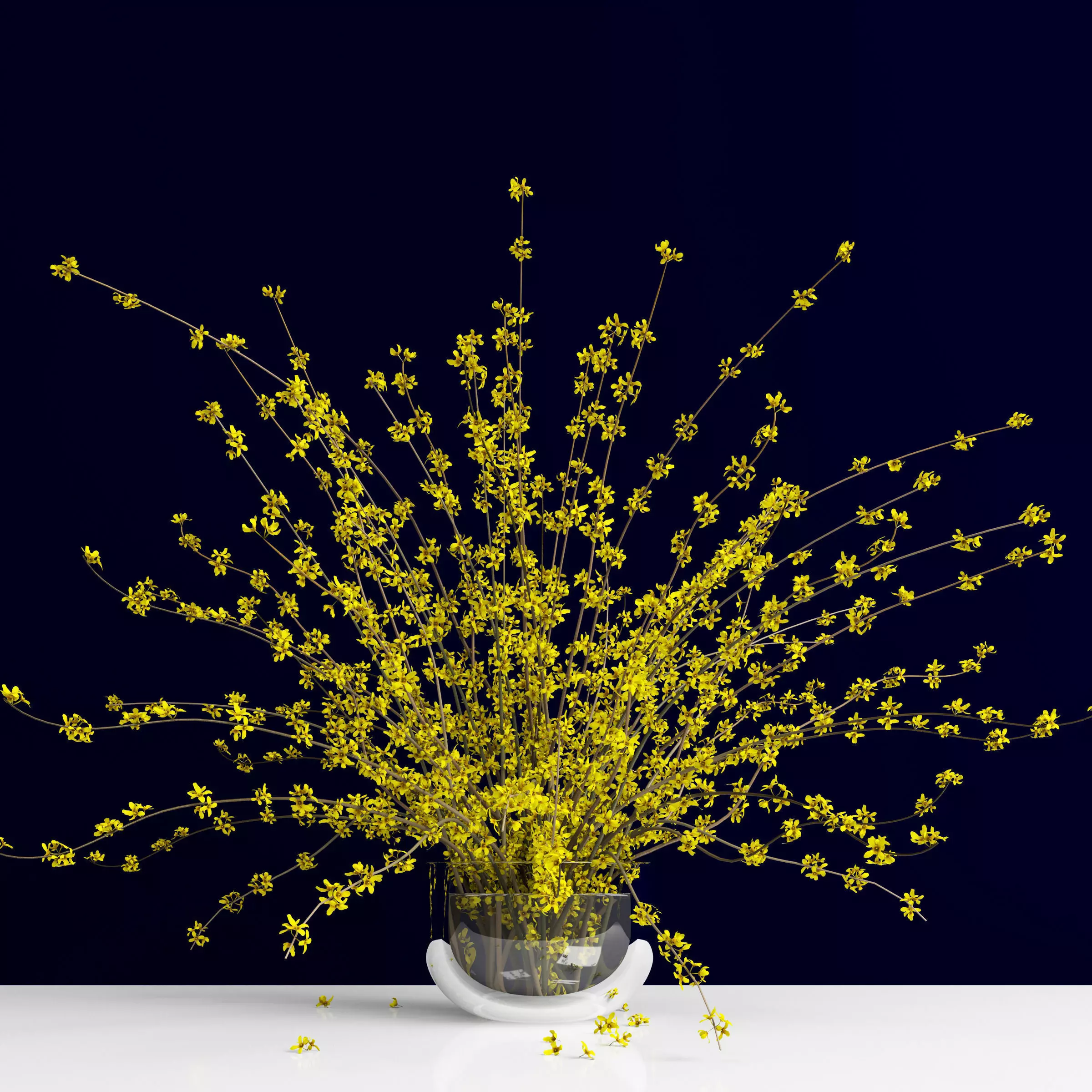 Bouquet of forsythia bush branches in glass vase 3D model_0