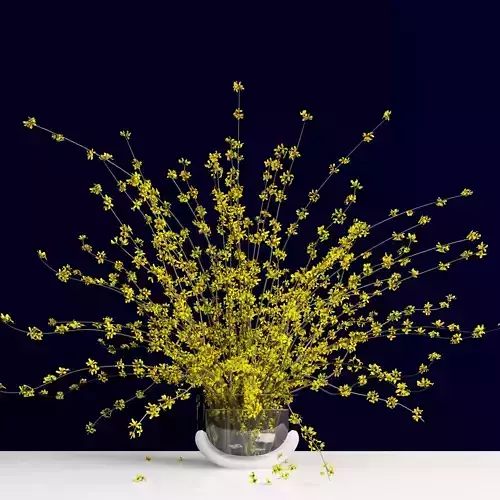 Bouquet of forsythia bush branches in glass vase 3D model