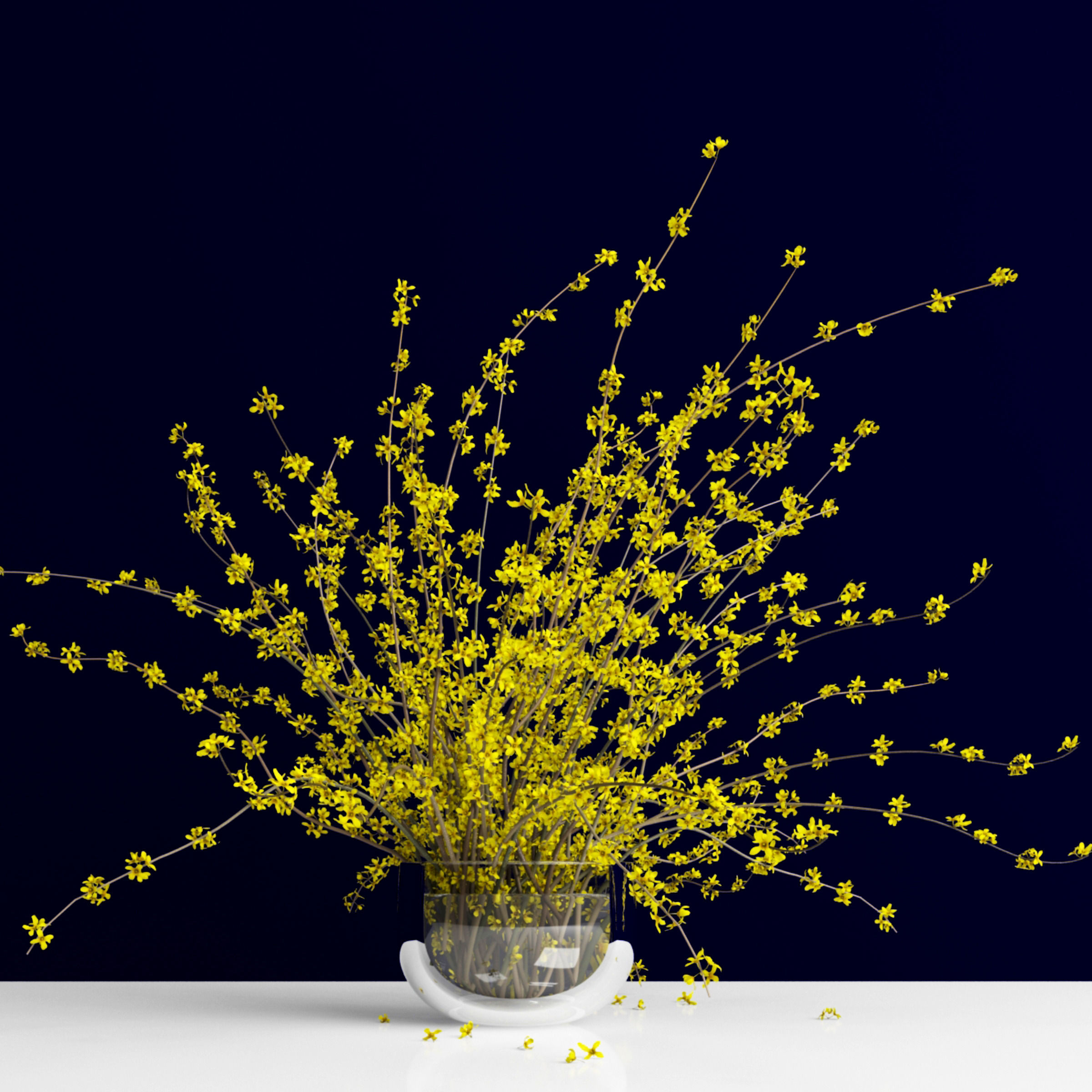 Bouquet of forsythia bush branches in glass vase 3D model_1