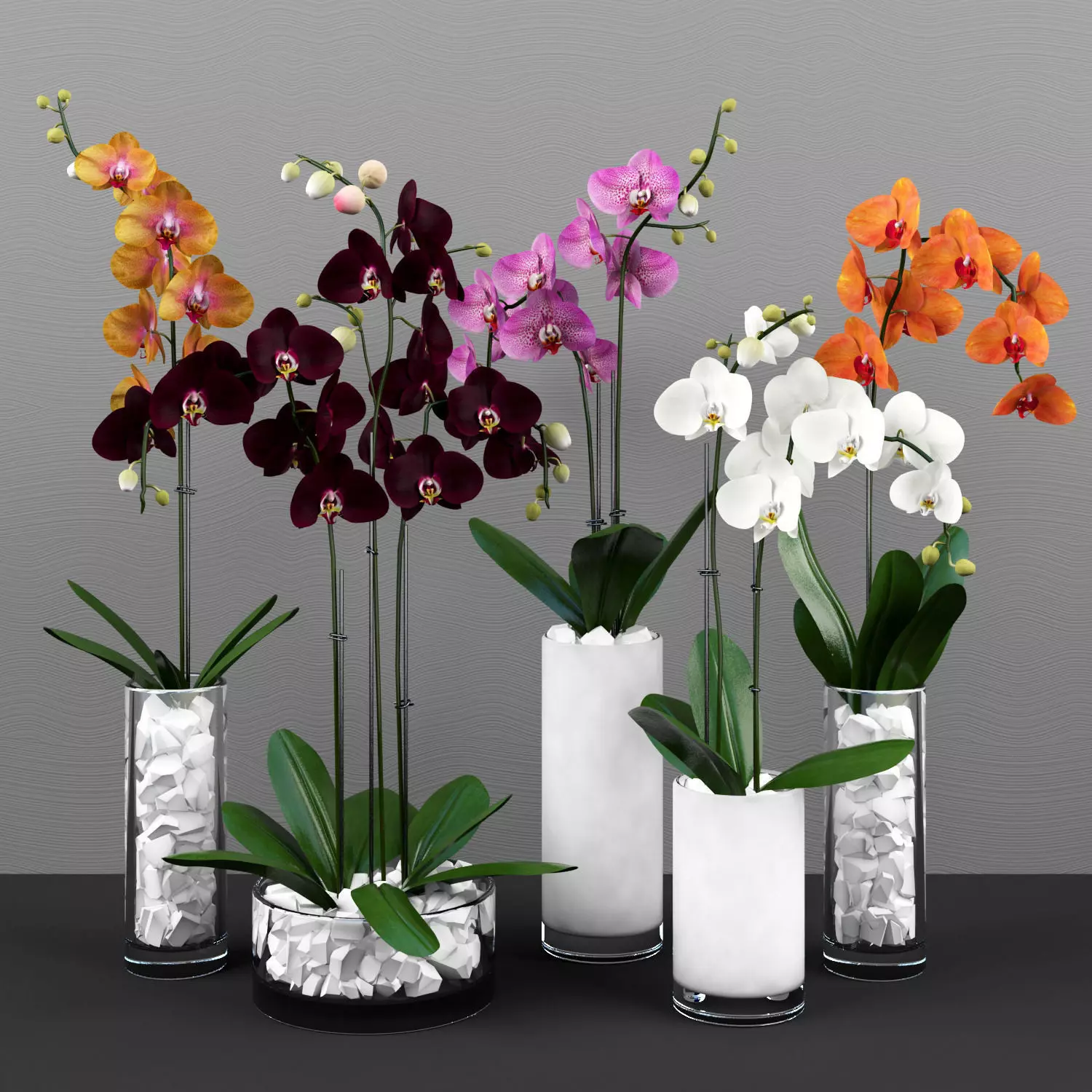 Collection of 5 realistic orchids in pots 3D model_0
