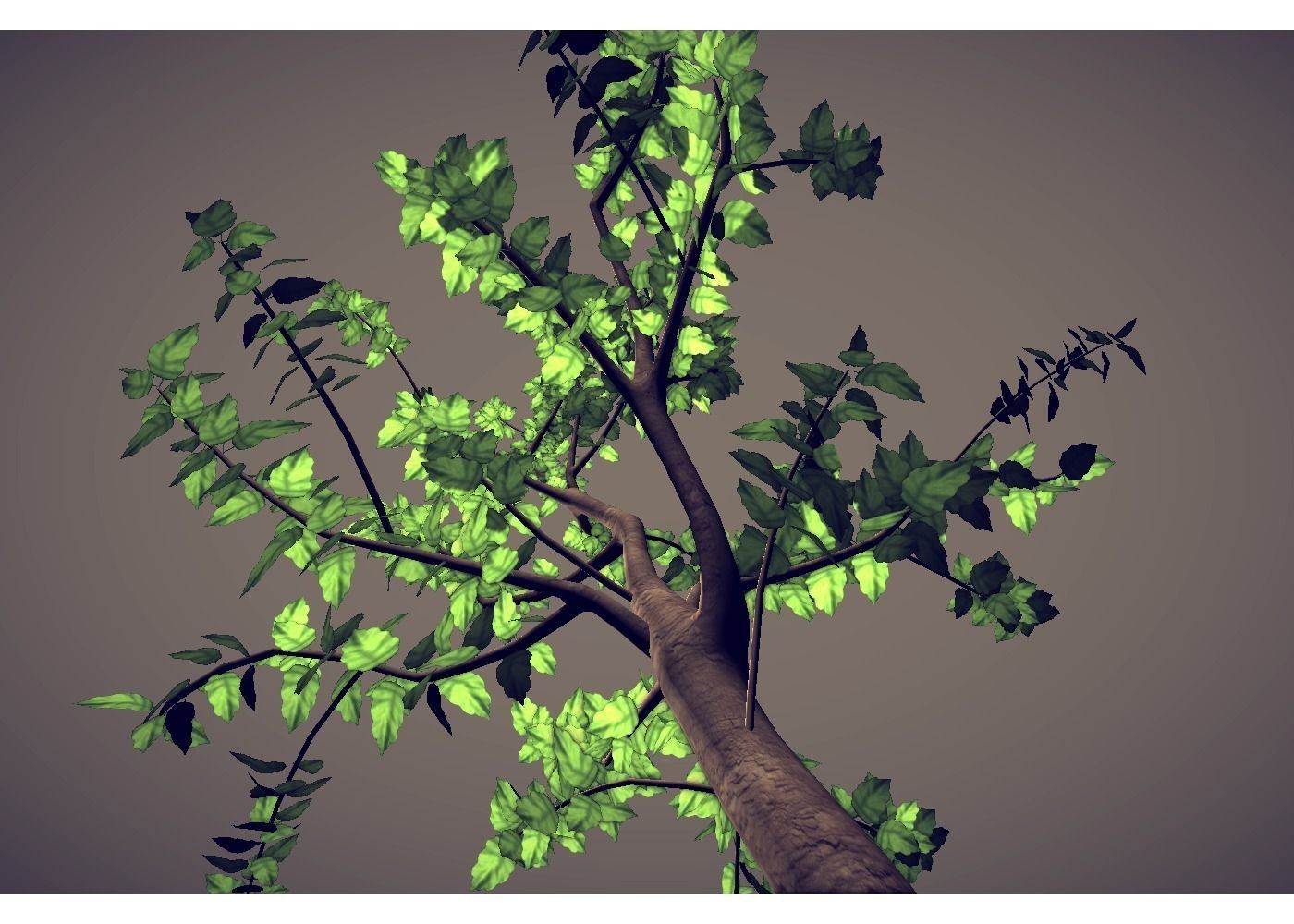 leaf tree Low-poly 3D model_1
