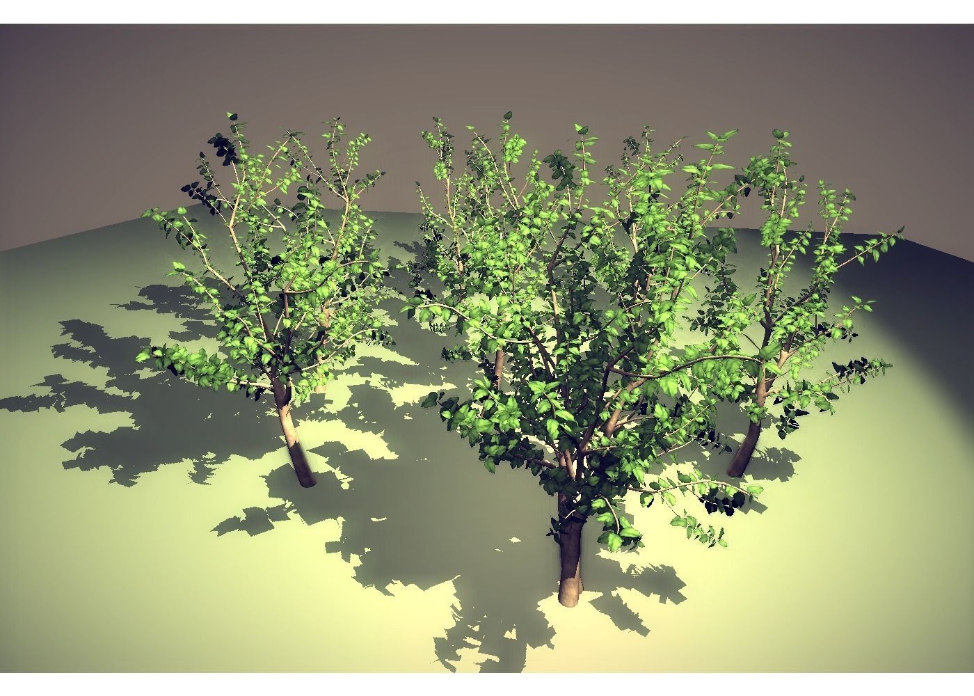 leaf tree Low-poly 3D model_6
