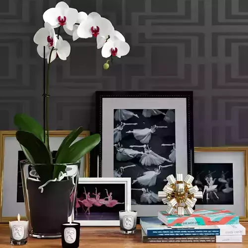 Orchid in glass pot with arch magazines and candles 3D model