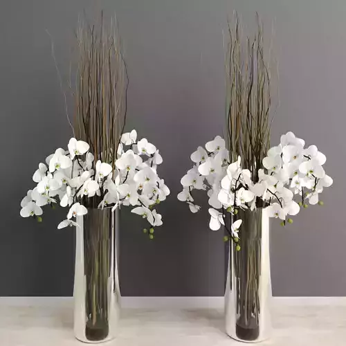 White orchids with willow branches in tall glass vase 3D model