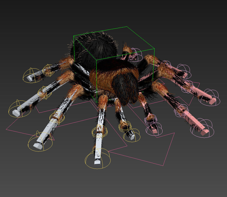 ANIMATED Tarantula 3d model a 3D model_15