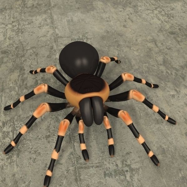 ANIMATED Tarantula 3d model a 3D model_21