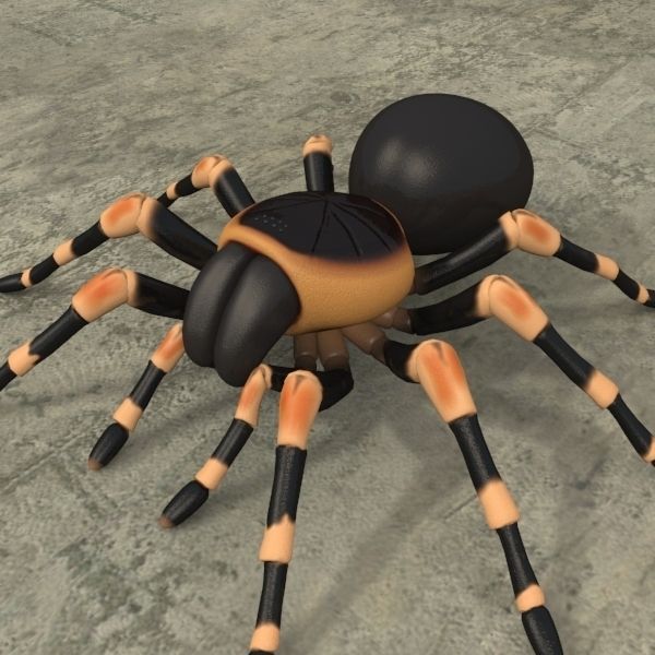 ANIMATED Tarantula 3d model a 3D model_8